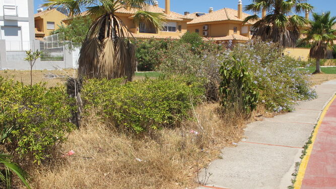 El barrio de Casines es una de las zonas donde más hierba se acumula.