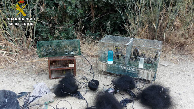Materiales y aves retiradas por la Guardia Civil en un operativo en Arcos de la Frontera.